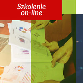 Odpowiedzialność przedsiębiorstwa energetycznego przed Prezesem URE w świetle nowelizacji prawa energetycznego i zmian na rynku