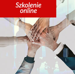 Team building & problem solving - skuteczna komunikacja i współpraca w zespole