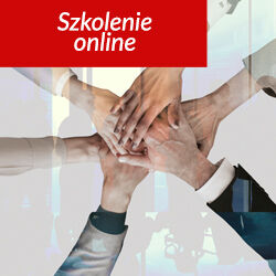 Team building & problem solving - skuteczna komunikacja i współpraca w zespole