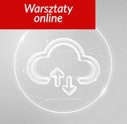 Cloud computing i outsourcing  w sektorze finansowym w świetle najnowszych wyzwań i problemów praktycznych