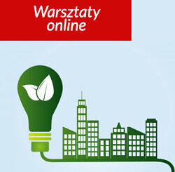 Skuteczna optymalizacja kosztów energii i poprawa efektywności energetycznej w przedsiębiorstwie